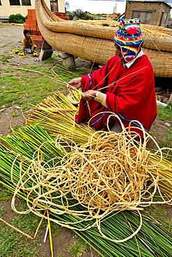 Aymara working the totora (Schoenoplectus californicus subsp. tatora), Lake Titicaca, Bolivia