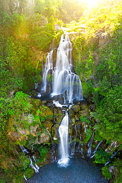 Bassin des Aigrettes, Saint Gilles, Reunion Island, France