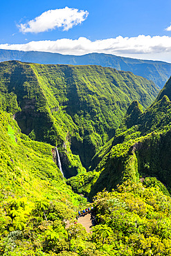 The Trou de fer, Bras-Panon, Salazie, Reunion Island, France