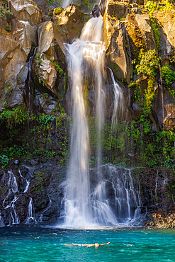 Bassin des Aigrettes, Saint Gilles, Reunion Island, France