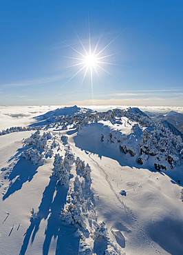 Cret de la neige, 1720m, highest peak in the Jura massif, Haute chaine du Jura reserve, Ain, France