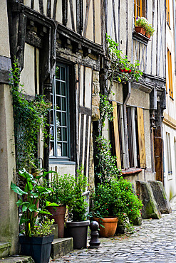 Half-timbered house with lots of plants on the facade in Old Mans, Sarthe, France