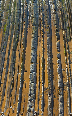 parallel rock formations on sea shore in tidal zone of sea top view outdoors La Rasa Mareal flysch cliffs Basque Country Spain Europe