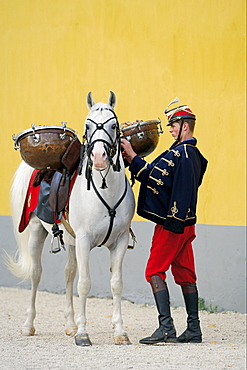 horse Shagya Arabian with kettledrums and man in historic uniform national stud Babolna Hungary Europe