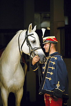 horse Arabian Arab horse stallion name: Teyzir B with man in historical uniform national stud Babolna Hungary Europe