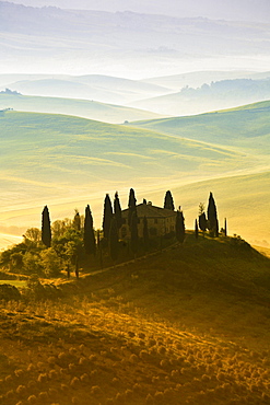 hilly landscape with wheat fields and cypresses surrounding traditional Tuscan stone house farmhouse nature morning mood