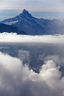 mountain Schreckhorn