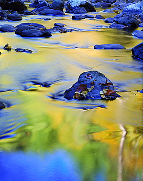 reflected colour in the middle of the little river Great Smoky Mountains National Park TN USA