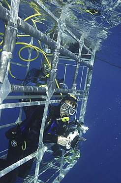 Diver in Shark diving cage,  
Isla Guadalupe, Mexico, Central America
   (RR)