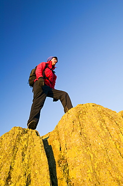 A walker above Windermere on Todd Crag at dawn, Lake District National Park, Cumbria, England, United Kingdom, Europe