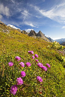 Looking towards Mont Blanc and Mont Blanc du Courmayeur from the Col de la Seigne, on the Tour de Mont Blanc, 