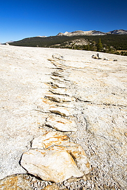 A granite dome in Yosemite National Park, California, USA.