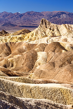 Badland scenery at Zabriskie Point in Death Valley which is the lowest, hottest, driest place in the USA, with an average annual rainfall of around 2 inches, some years it does not receive any rain at all.