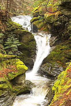 The Falls of Acharn near loch Tay, Scotland, UK.