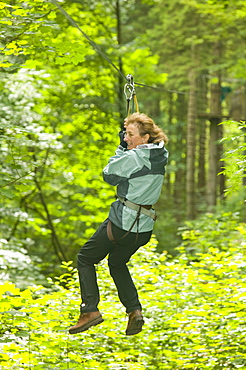 A woman on the the Go Ape aerial challenge in Grizedale Forest in Cumbria, England, United Kingdom, Europe