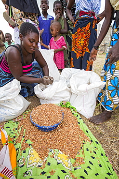 In mid January 2015, a three day period of excessive rain brought unprecedneted floods to the small poor African country of Malawi. It displaced nearly quarter of a million people, devastated 64,000 hectares of land, and killed several hundred people. This shot shows displaced people dividing up food aid in a refugee camp near Phalombe.