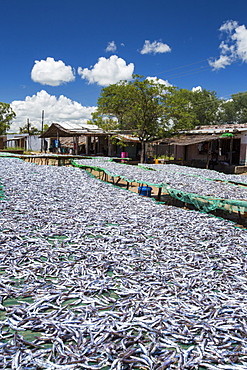 Fish caught in Lake Malawi, on drying racks at Cape Maclear, Malawi, Africa.