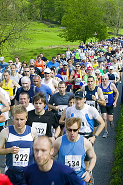 Runners in the Windermere Marathon, Lake District, Cumbria, England, United Kingdom, Europe