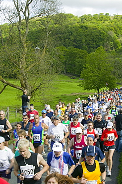 Runners in the Windermere Marathon, Lake District, Cumbria, England, United Kingdom, Europe