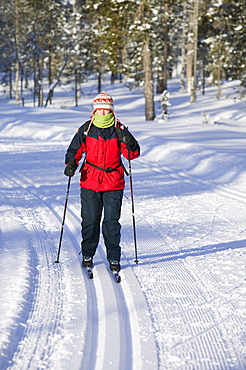 Winter in Saariselka, Northern Finland, Scandinavia, Europe