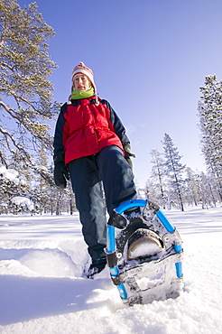 A woman snow shoeing in the Urho Kehkkosen National Park near Saariselka, Northern Finland, Finland, Scandinavia, Europe