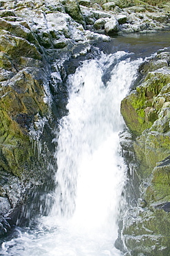 Icicles at Skelwyth Force near Ambleside, Lake District, Cumbria, England, United Kingdom, Europe