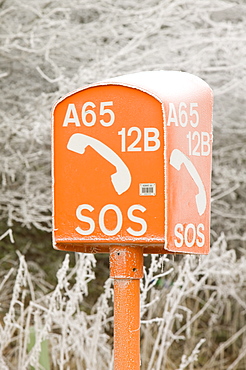 A heavy hoar frost on an emergency phone, United Kingdom, Europe