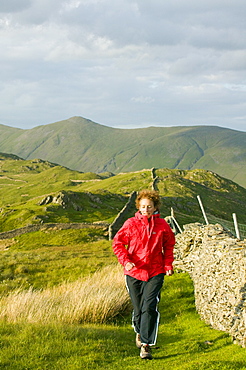 Fell runner running along the summit ridge of Wansfell above Ambleside, Lake District, Cumbria, England, United Kingdom, Europe