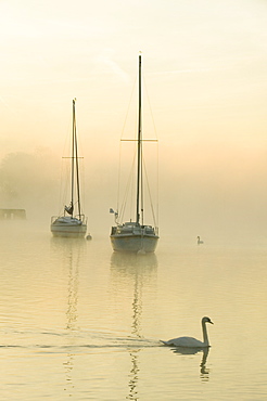 A misty morning on Lake Windermere in the Lake District, Cumbria, England, United Kingdom, Europe