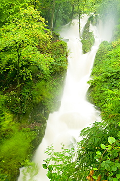 Stockghyll Force in full flood in summer Ambleside, Lake District, Cumbria, England, United Kingdom, Europe