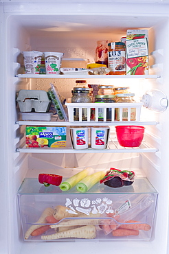 A fridge full of food, United Kingdom, Europe