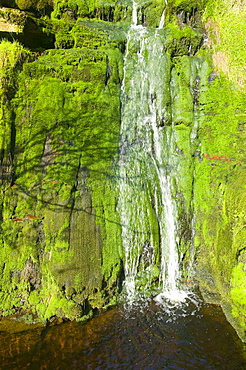 A waterfall on the RSPB reserve at Geltsdale, North Cumbria, England, United Kingdom, Europe