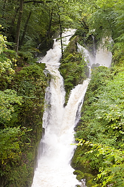 Flooding in Stock Ghyll, Ambleside, Lake District, Cumbria, England, United Kingdom, Europe