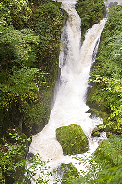 Flooding in Stock Ghyll, Ambleside, Lake District, Cumbria, England, United Kingdom, Europe