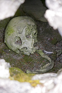 A human Inuit skull in a stone chambered cairn, an ancient grave at least 2000 years old, in Ilulissat in Greenland, Polar Regions