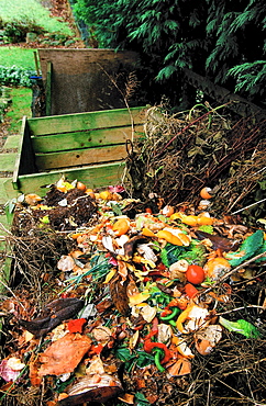 A compost heap