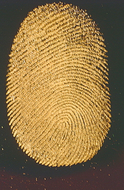 Thumb print