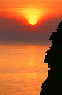 Sunset over the sea cliffs of St. Bees Head, West Cumbria, England, United Kingdom, Europe