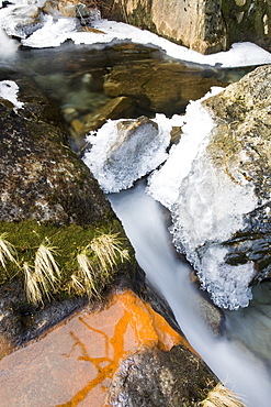 Ice on Greenburn Beck in the Lake District during a cold snap, with orange iron-rich bacteria, Cumbria, England, United Kingdom, Europe