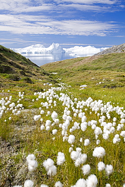 The Jacobshavn icefjord in Ilulissat, UNESCO World Heritage Site, Greenland, Polar Regions