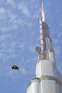 Rubbish floating past the Burj Dubai, the world's tallest building in Dubai, United Arab Emirates, Middle East