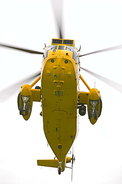 An RAF Sea King Helicopter, Cumbria, England, United Kingdom, Europe