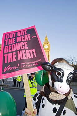 Protestor at a climate change rally in Parliament Square London in December 2008 with Big Ben behind, London, England, United Kingdom, Europe