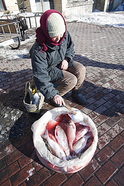 A fish seller on the streets of Suihua city in northern China, Asia