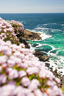 The Cornish coast at Pendeen Watch near Lands End, Cornwall, England, United Kingdom, Europe