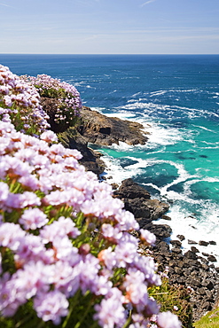 The Cornish coast at Pendeen Watch near Lands End, Cornwall, England, United Kingdom, Europe