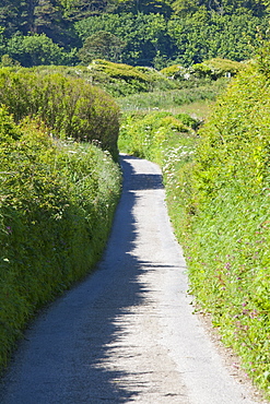 A narrow lane above Lee Bay on the North Devon Coast, Devon, England, United Kingdom, Europe