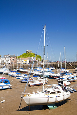 Ilfracombe harbour on the North Devon coast, England, United Kingdom, Europe