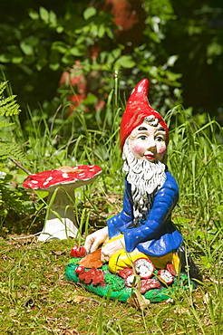 Gnome at the West Putnam gnome reserve in Devon, England, United Kingdom, Europe