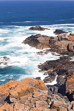 Cornish coastal scenery near Pendeen, Cornwall, England, United Kingdom, Europe